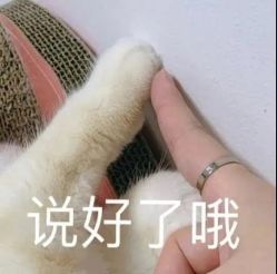 -东方美妍
