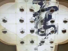 -长风拨筋养身(蟠龙天地店)