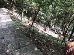 -严子陵钓台(富春江小三峡)