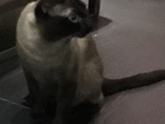 -吱咖啡西式简餐