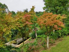 -白鹭湾湿地公园