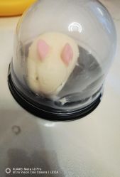-橘西产后康复中心