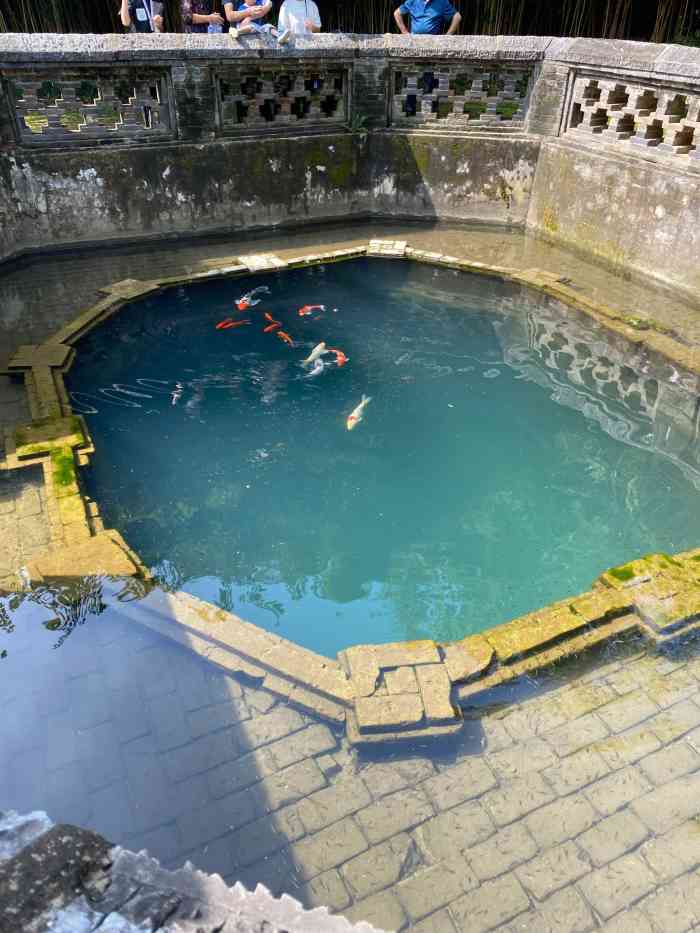 习家池-"习家池又名高阳池,位于湖北襄阳城南约五公."-大众点评移动版