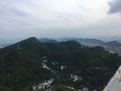 -大金鹰园
