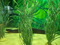 -上海海洋水族馆