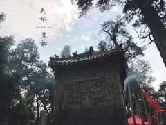 -关林