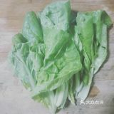 冰箱摸出小白菜几棵,鸡蛋一枚