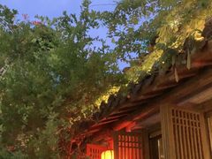 -鲤院·新中式美学·庭院餐厅(夫子庙店)