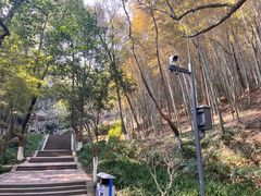 -峙山公园