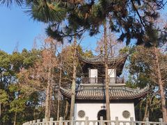 -汇龙潭