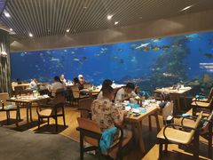 大堂-海棠湾洲际-涛·海底餐厅·美人鱼·自助餐·海底隧道