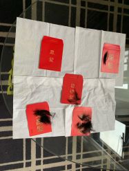 -宝生月子中心(民治店)