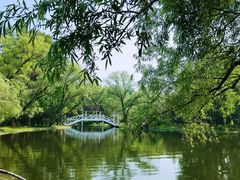 -上海共青森林公园