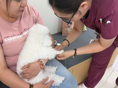 -美联众合动物医院·24h京西诊疗中心