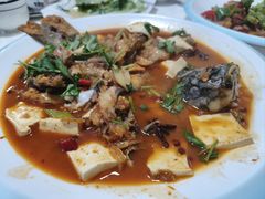 -煲来饱去冷水鱼