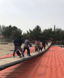 -上美四季动物农场