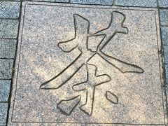 -中国茶叶博物馆(双峰馆区)
