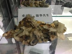 -中国第四纪冰川遗迹陈列馆