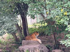 -宁波野生动物园