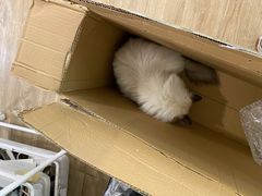 -iF摄影•全家福•证件照•形象照(南山店)