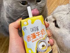 -盒马鲜生(莱蒙都会店)