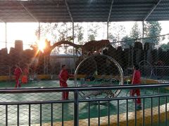 -泉州海丝野生动物世界