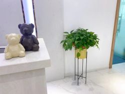 -MIVI半永久纹眉纹绣