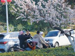 -云龙湖旅游景区