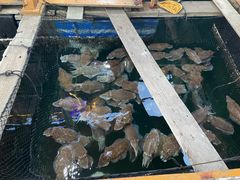 -蓝湾碧波·老字号·疍家非遗海上餐厅