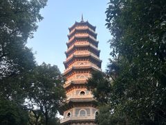 -灵谷景区