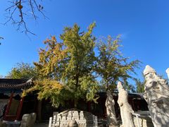 -北京石刻艺术博物馆(五塔寺)