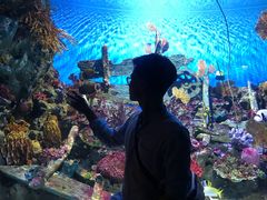 -暹罗海洋世界
