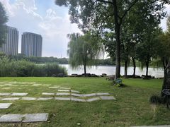 -南翔镇银翔湖公园