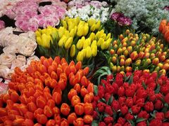 -双季花艺园艺市场(浦东店)
