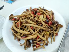 茶树菇-新享乐海鲜(翠华路店)