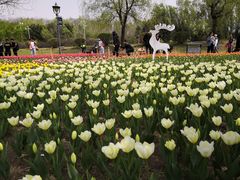 -沈阳植物园