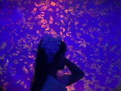 -江和美海洋公园
