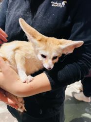 -Zoolung Zoolung动物主题公园(海信广场店)