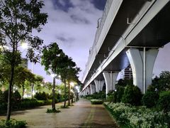 -宝安西湾红树林湿地公园