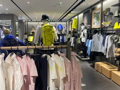 -ARC'TERYX始祖鸟(北京王府中环店)