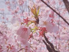 -静安雕塑公园