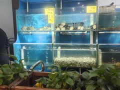 -盈田盈粥庄(博山东路店)