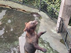 -深圳野生动物园