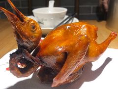 -大鸽饭(岗顶店)