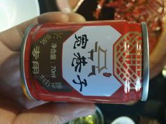 -宽巷子成都火锅(南站店)