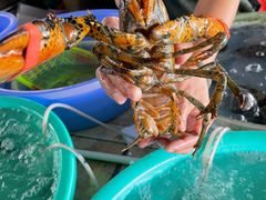 -花乐餐厅(涠洲岛店)