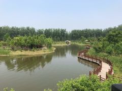 -合肥滨湖国家森林公园