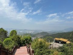 -铁山坪森林公园