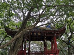 -乌山风景区