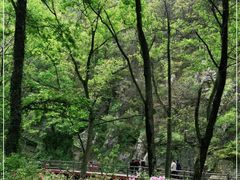 -木兰云雾山